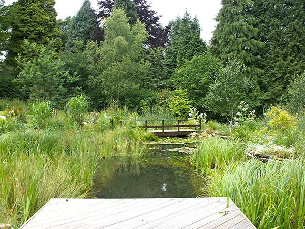 Swimming Pond with landscaping, mature growth