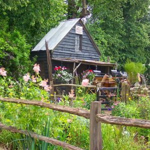 RHS-show-garden-The-Old-Forge