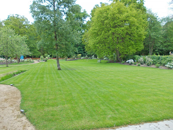 Lawn and soft landscaping